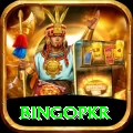 bingopkr Pro Gaming App