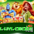 bpl live cricket Extreme Pakistan