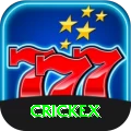 crickex Live Master v2.1.0