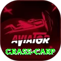 grass carp Cash Mega