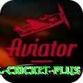 international cricket - Mega v1.0.6