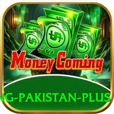 IPL Betting Pakistan - King Earning App - 2