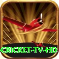 live cricket tv hd Mega 2024