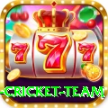 new zealand cricket team - Gaming Ultimate