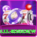 rilee rossouw Slots Extreme v1.2.6