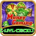 smartcric live cricket Casino Mega v2.2.6
