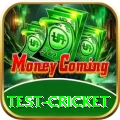 test cricket Casino Mega v3.7.0