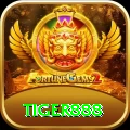 tiger888 Legend - Daily Bonus