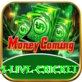 watch live cricket Cash Elite